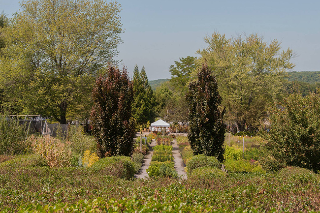 Paxson Hill Farm